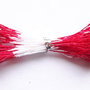 Lstamine02 - (10 buc) stamine rosii