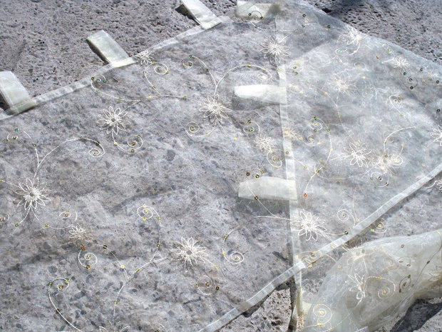 Organza brodata1