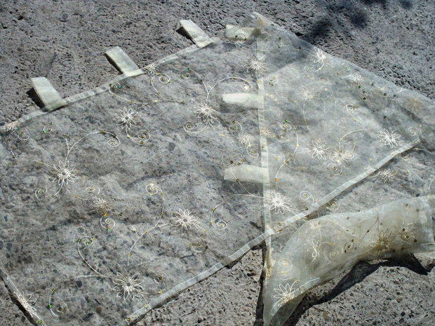Organza brodata1