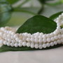 Sidef 3mm (2)