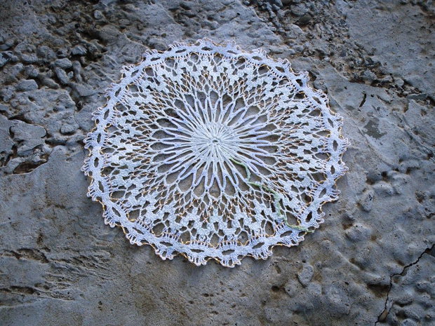 Dantela 281