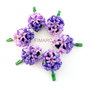 Hyacinthus orientalis(zambile) - martisoare brose