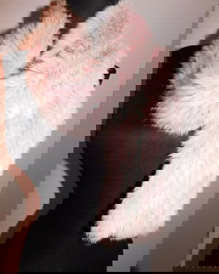 SAL BLANITA IEPURE DE CIMP , SUPERB