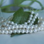 Perle seashell 4mm (2)