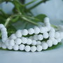 Coral 6mm (2)