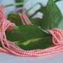 Coral 2mm (2)