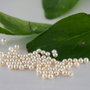 Perle Swarovski 3mm  (2)