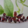 Garnet fatetat 6-8x10-12mm (1)