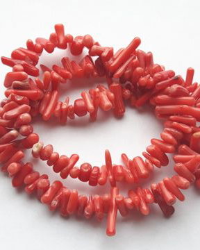 Lchips 50 - chips coral tepi