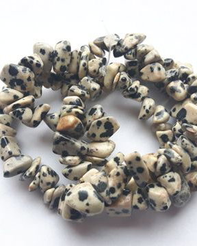 Lchips 34 - jasp dalmatian