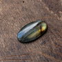 Cabochon Labradorit Oval flashy  - ocru auriu