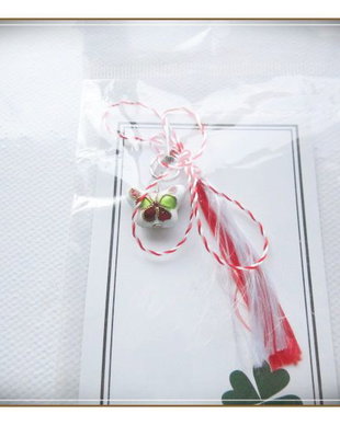 MARTISOR- 20