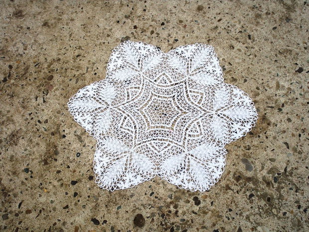 Dantela 213