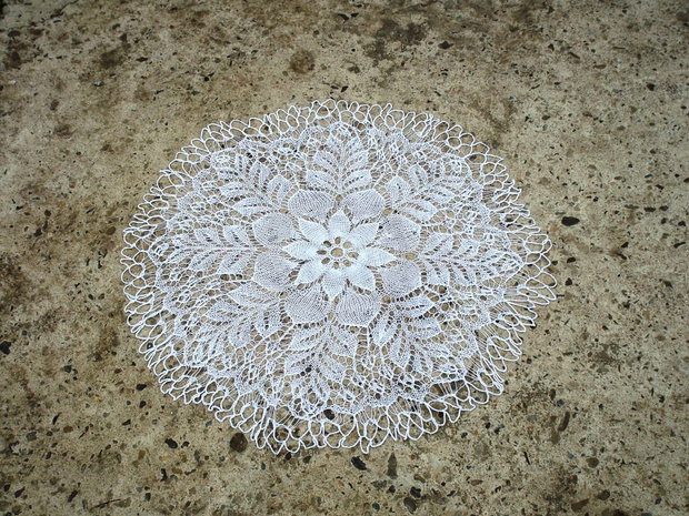Dantela 321
