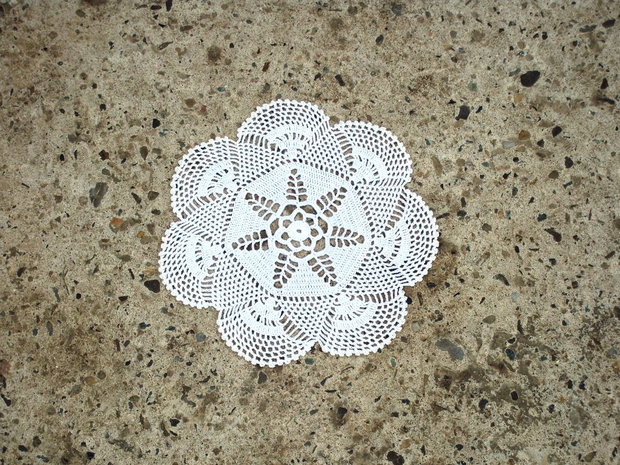 Dantela 337