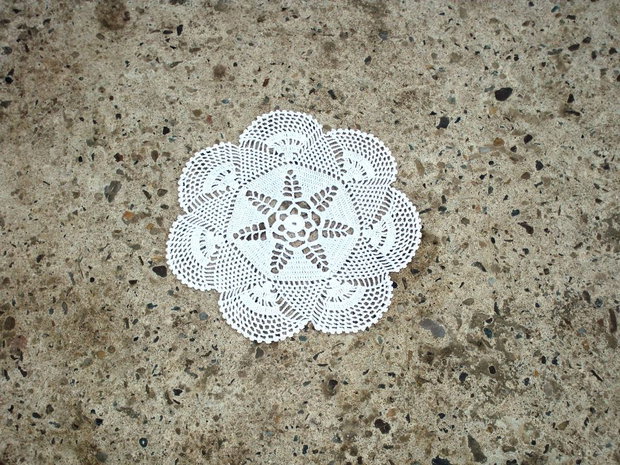 Dantela 337