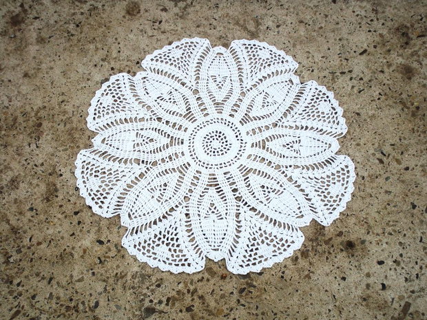 Dantela 344