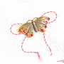 Brosa colier Fluture de primavara