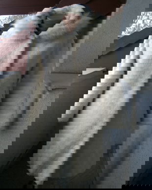 HAWELA COUTURE BLANA NATURALA LAMA ALPACA SI BLANA NATURALA VULPE POLARA