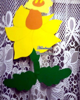 Decoratiune pavoazare clasa
