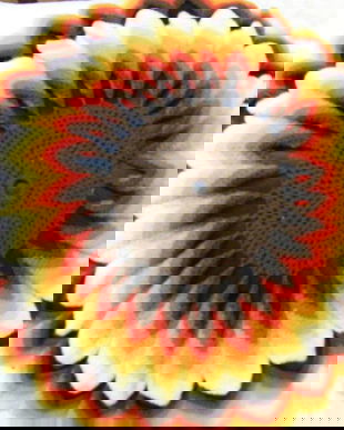 Perna floarea soarelui