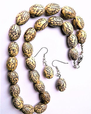 Seminte de Palmier (cod 393 )