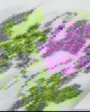 Fata de masa cu struguri