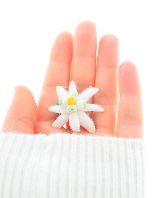 Floarea de colt- brosa martisor