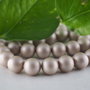 Perle seashell 10mm, cod P02 (1)