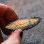 Cabochon Labradorit Marquise - neregulat