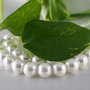 Perle seashell 10mm, cod ID8 (1)