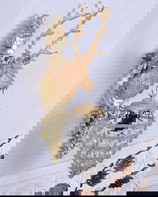 APLICA DIN ALAMA MASIVA  AURIE CU UN CERB