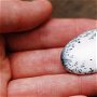 Cabochon  opal dendritic - oval