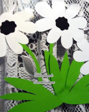 Decoratiune pavoazare clasa