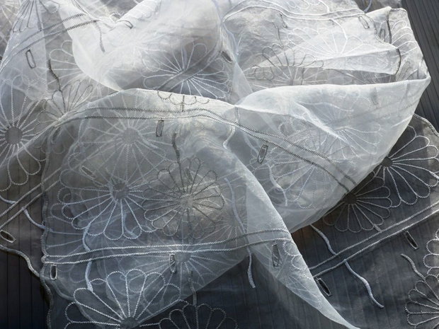Organza brodata