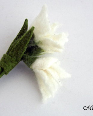Brosa impaslita - Ghiocei batuti