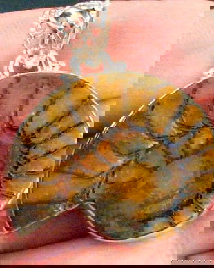 Ag408 - Pandantiv, argint 925 marcat, amonite, fossil