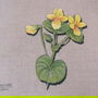 3 buc aplicatii florale