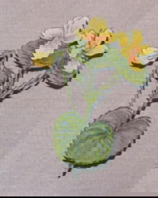 3 buc aplicatii florale