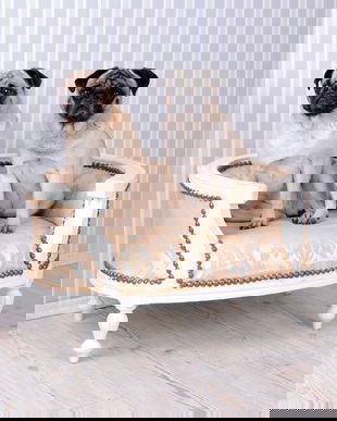 CANAPEA PT.CAINE DIN LEMN MASIV ALB CU TAPITERIE GREJ CU FLORI