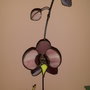 Decoratiune orhidee vitraliu