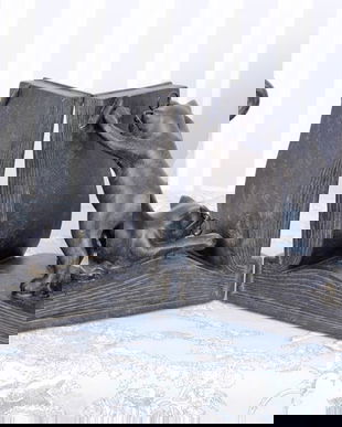 SET DOUA SUPORTURI PENTRU CARTI CU PISICI