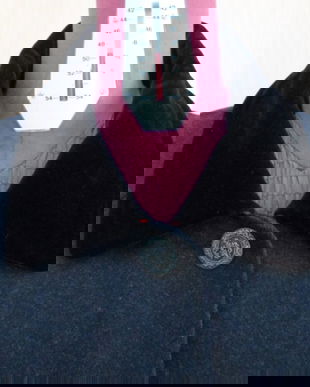 pardesiu cu garnitura din catifea