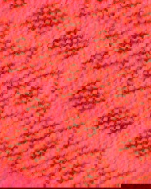 Covoras rustic rosu cu negru