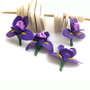 Marturie iris mic