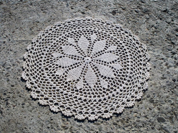 Dantela 484