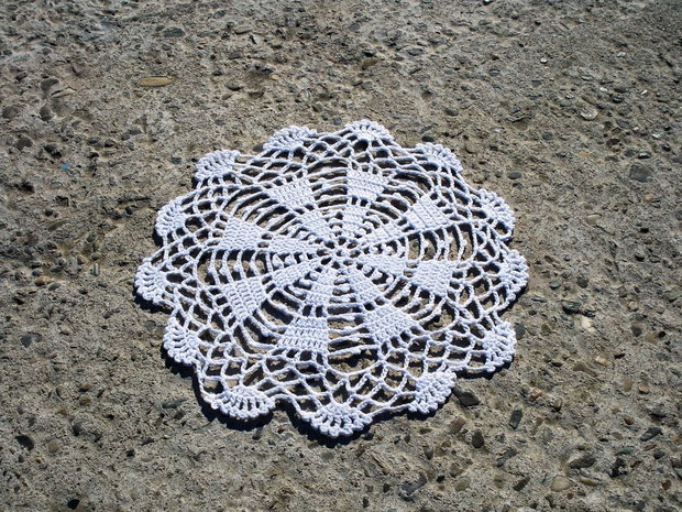 Dantela 501