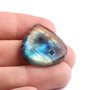 Cabochon Labradorit Lacrima spectrolit HQ   - ZL4