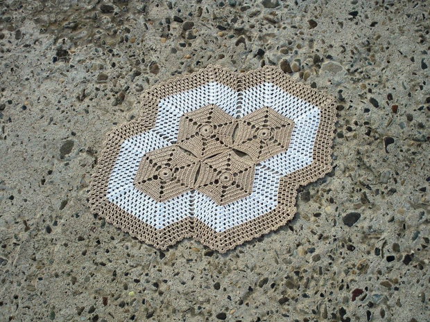 Dantela 527