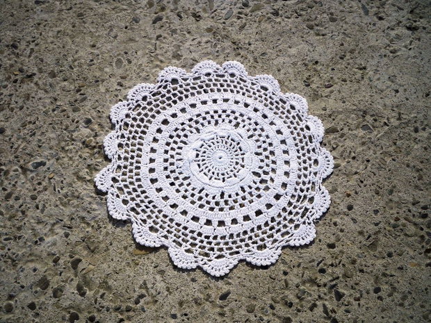 Dantela 536